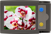 Looky+ handheld electronic magnifier showing a close-up of orchids on its bright display, with two large tactile buttons on the side in blue and yellow.
